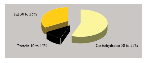 Energiebedarf