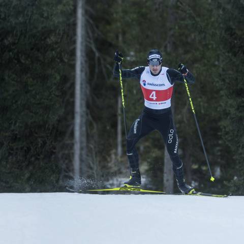 Gianluca Cologna