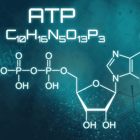 ATP Energiesysteme
