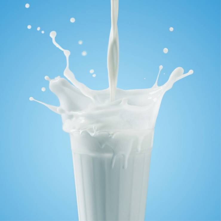 Protéines et développement de la masse musculaire